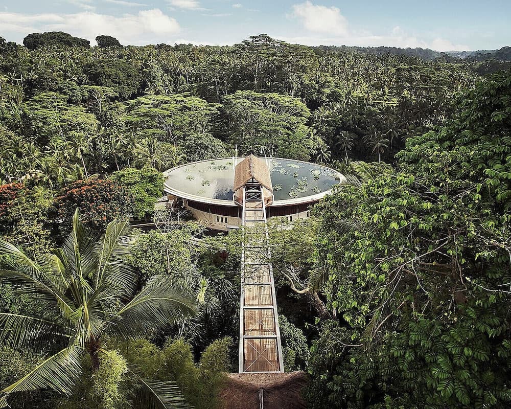Where to stay in Bali: Ubud vs Canggu vs Seminyak vs Jimbaran vs Sanur